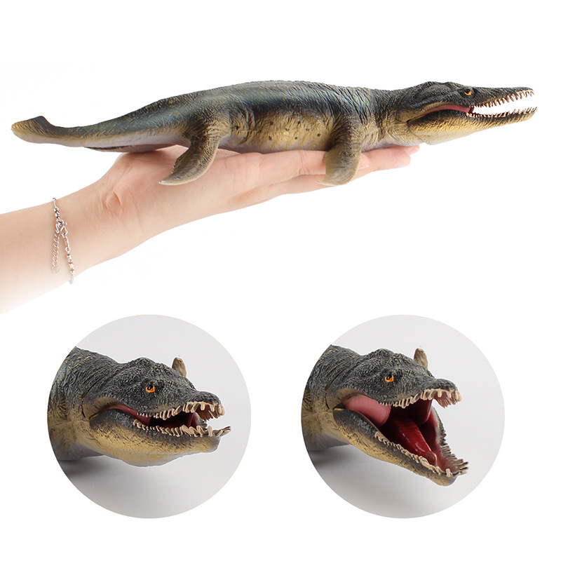 Modelo Biológico Realista de D - Vintage Collectible Toys avaliação e preço
