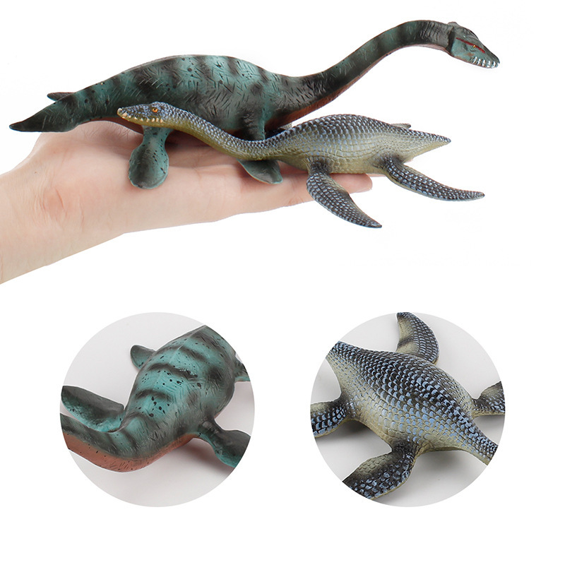 Modelo Biológico Realista de D - Vintage Collectible Toys avaliação e preço